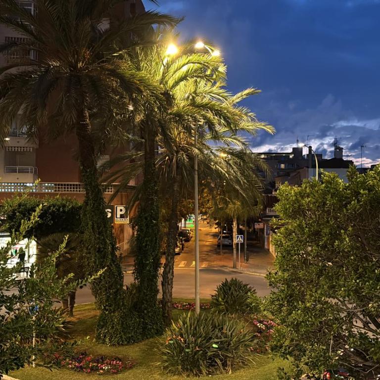 Palm tree view - Apartamento de 2 dormitorios - 15