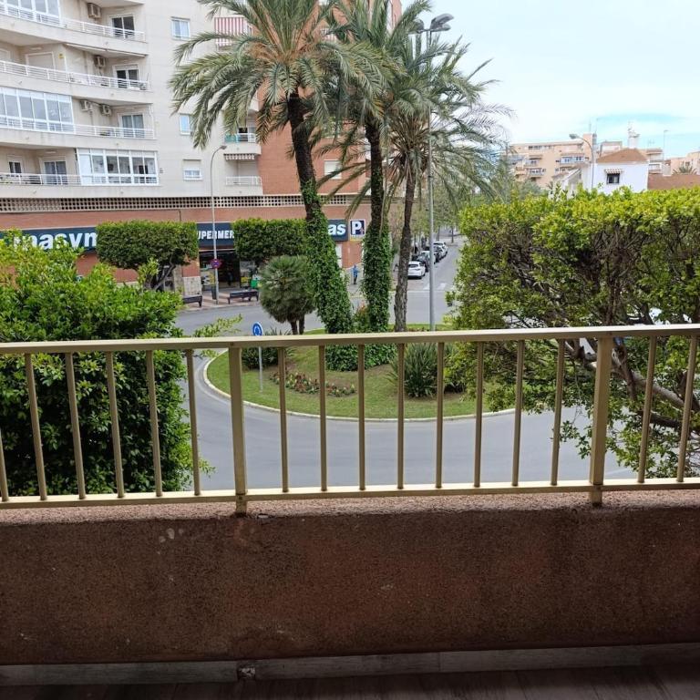 Palm tree view - Apartamento de 2 dormitorios - 16