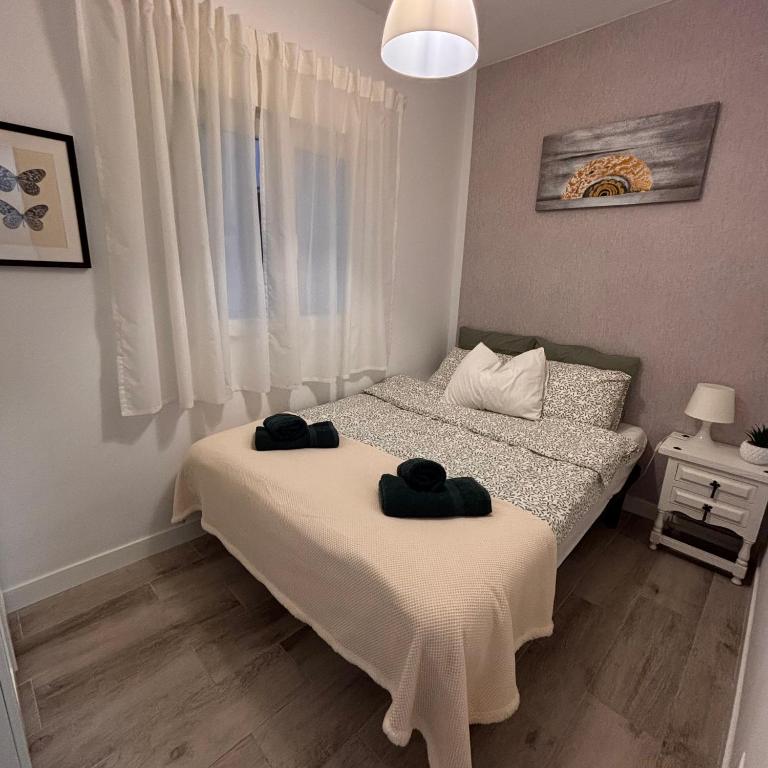 Palm tree view - Apartamento de 2 dormitorios - 28