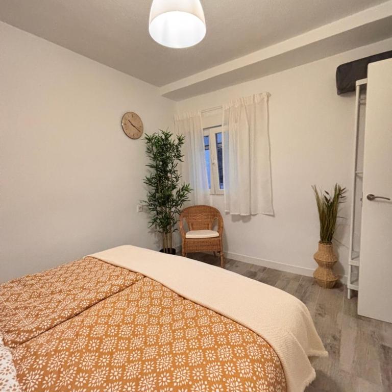 Palm tree view - Apartamento de 2 dormitorios - 29