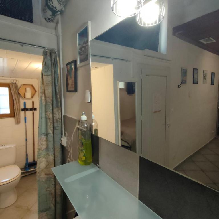 Studio privatif avec jardin - One-Bedroom Apartment - 12