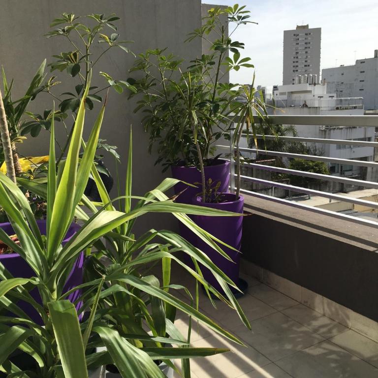 Gorriti Palace - Apartamento con balcón - 30