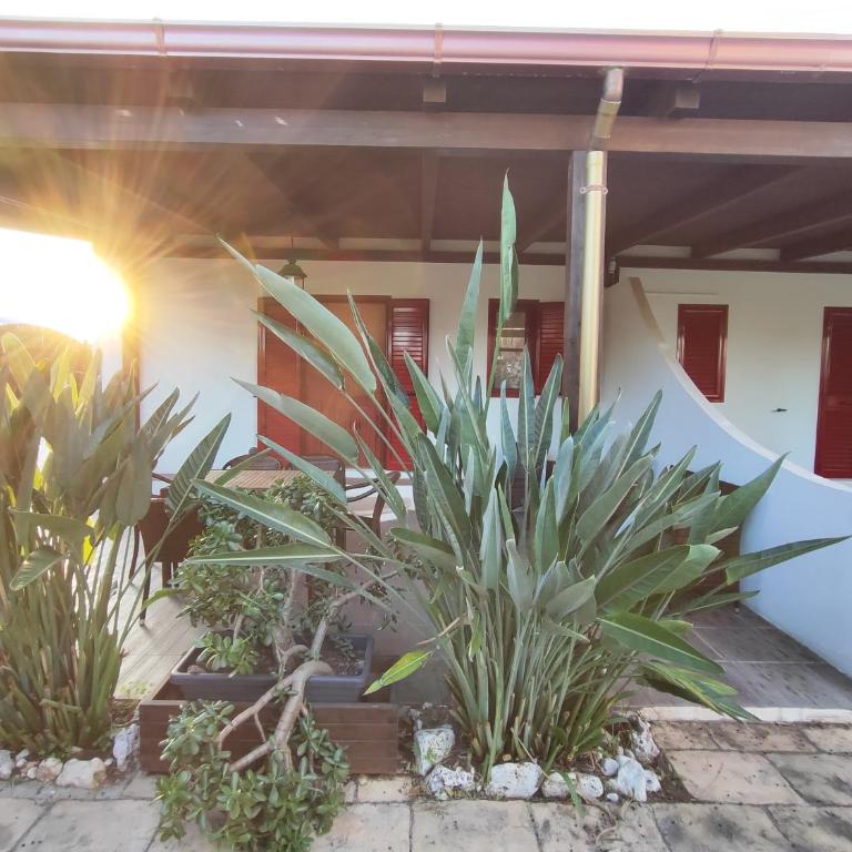 Villa Pizzomunno a Vieste con accesso diretto alla Spiaggia di Pizzomunno - Vacation Home - 24