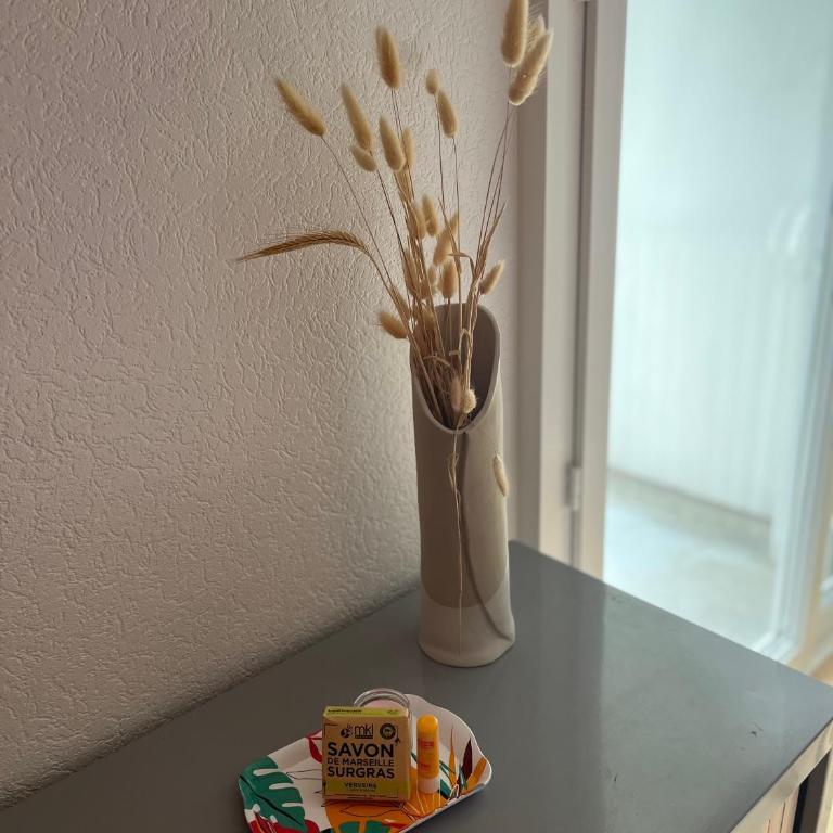Chambre calme & lumineuse avec balcon Cauderan - Chambre Double avec Balcon - 9