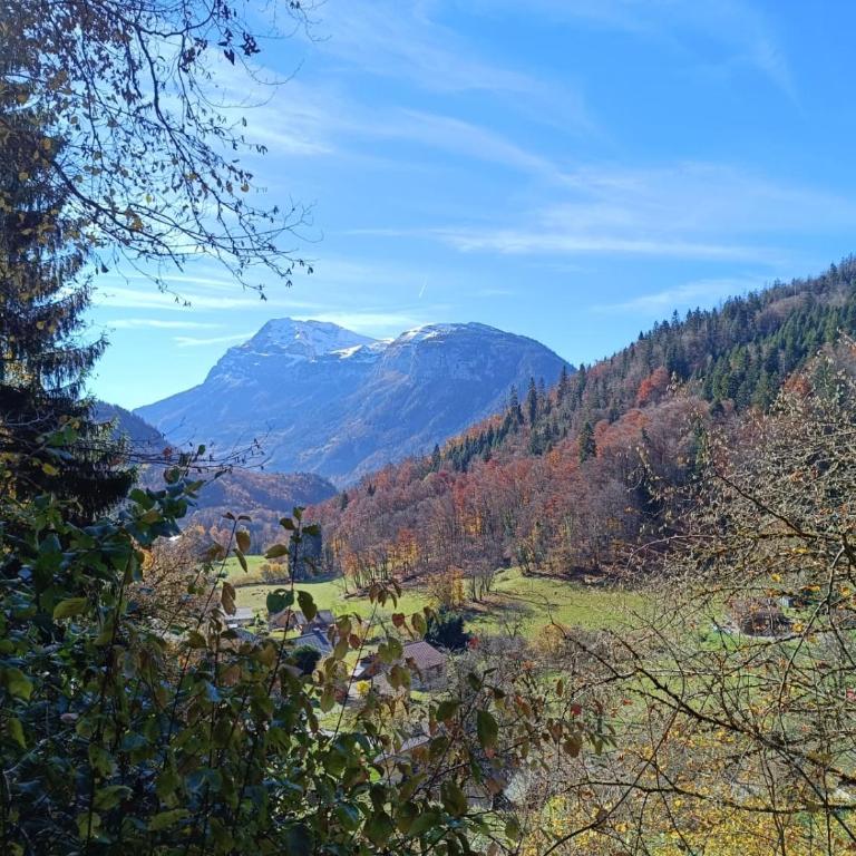 Chalet paisible à 4km de la station des Carroz - Chalet St François de Sales - Maison 3 Chambres - 27