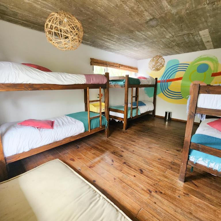 Ostelina Guest House - Bed in 6-Bed Dormitory Room - 1