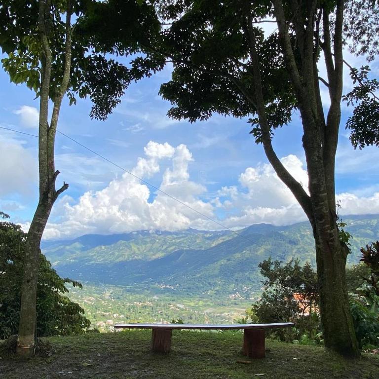 Finca Panoramica - Five-Bedroom House - 13