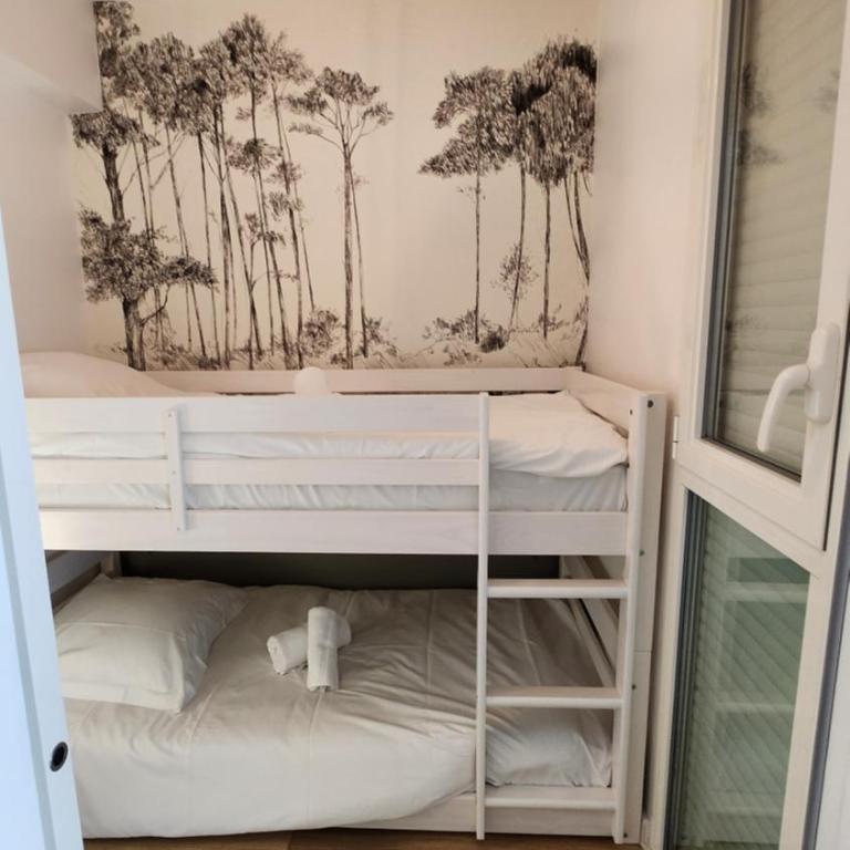 Appartement Calvi, Cœur de ville, plage à 300 m - Appartement 3 Chambres - 29