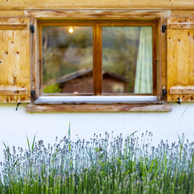 Chalet Lupin - Chalet - 30