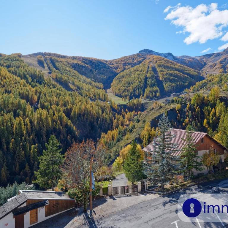 Apartment in center of Auron - Appartement - 14