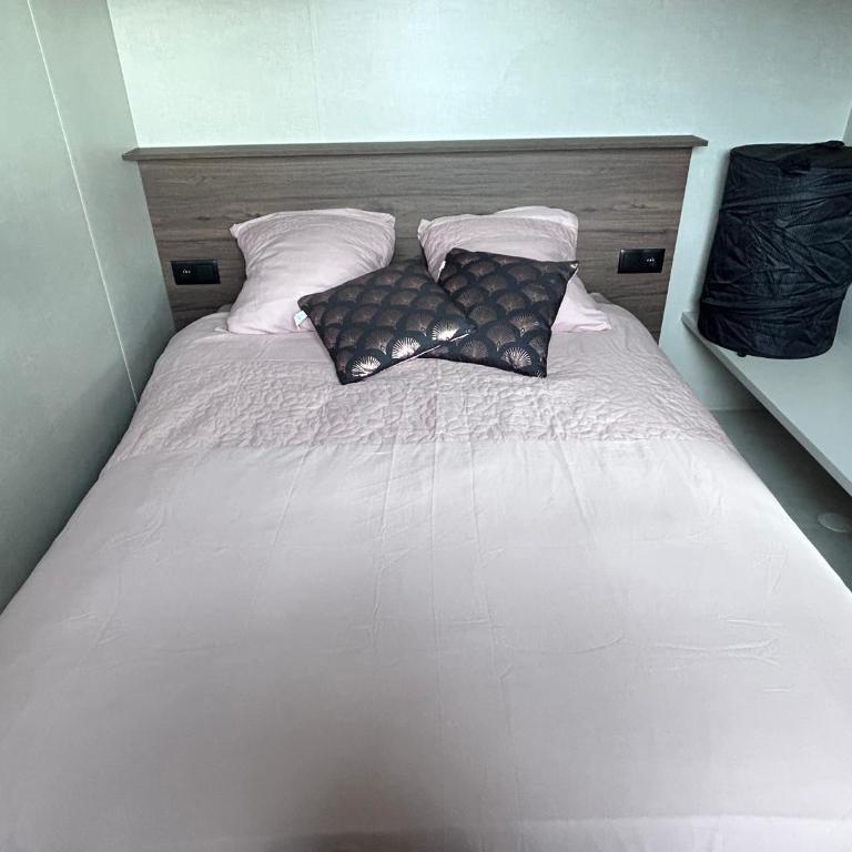 La Tiny de Queuvaz - Haute Savoie - Maison 1 Chambre - 16