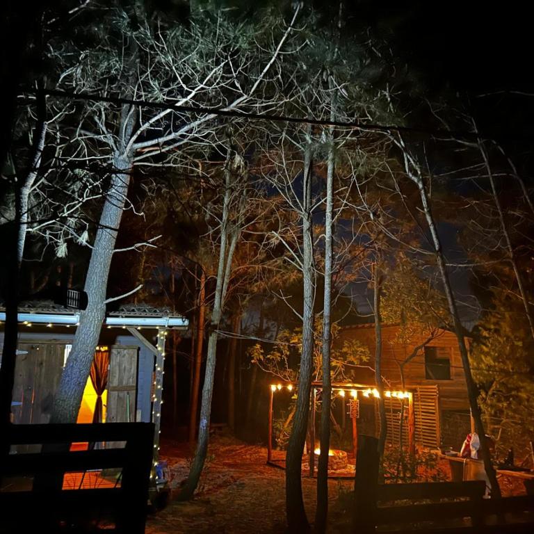 Nuestro Lugar PdD2 - Casa con 1 dormitorio - 1