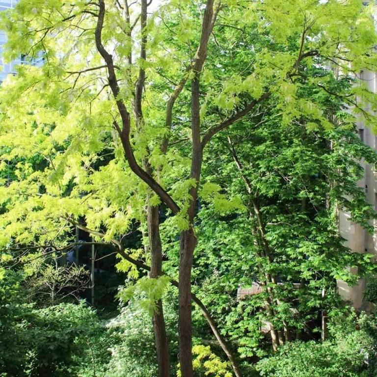 Beautiful apartment near Luxembourg Gardens - Appartement 4 Chambres - 35