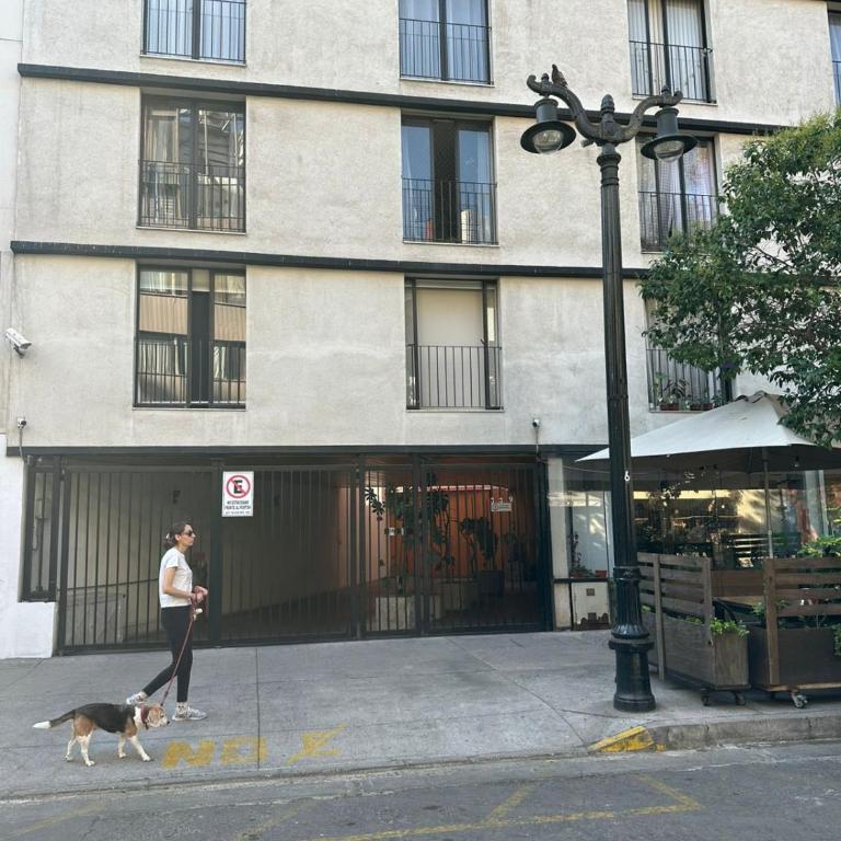 Acogedor y Exclusivo departamento Lastarria check in 24h - One-Bedroom Apartment - 29