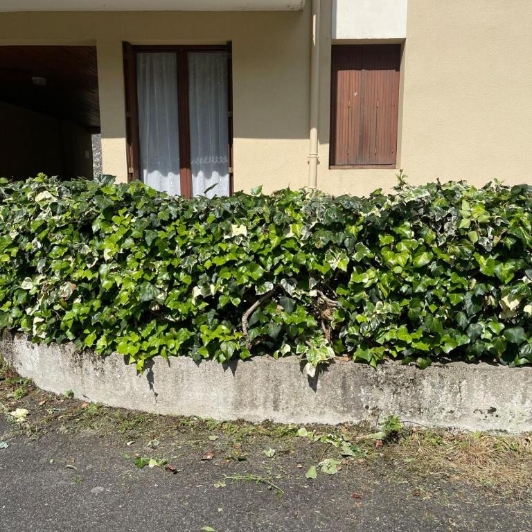 Studio hyper centre - Appartamento con 1 Camera da Letto - 18