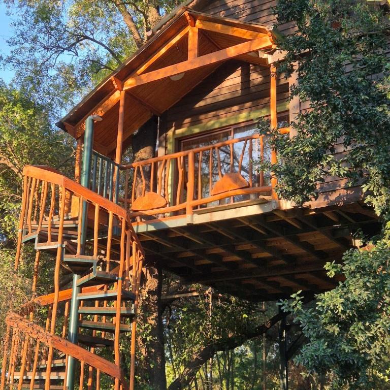 Casa de árbol Quillón - Two-Bedroom Chalet - 1