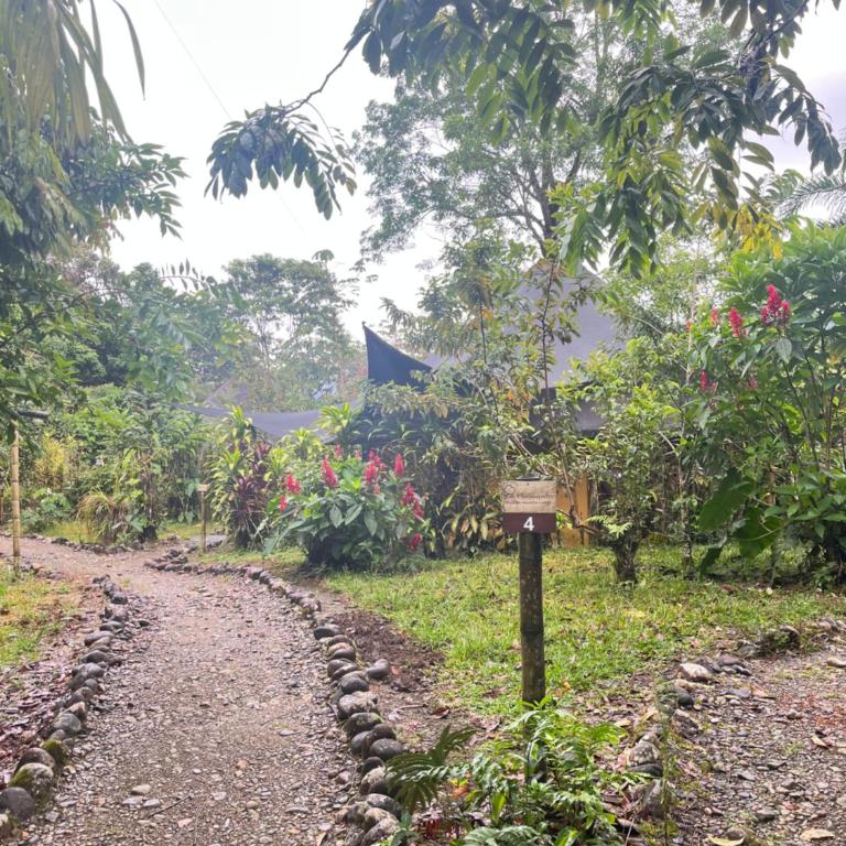Huasquila Amazon Lodge - Family Bungalow - 7