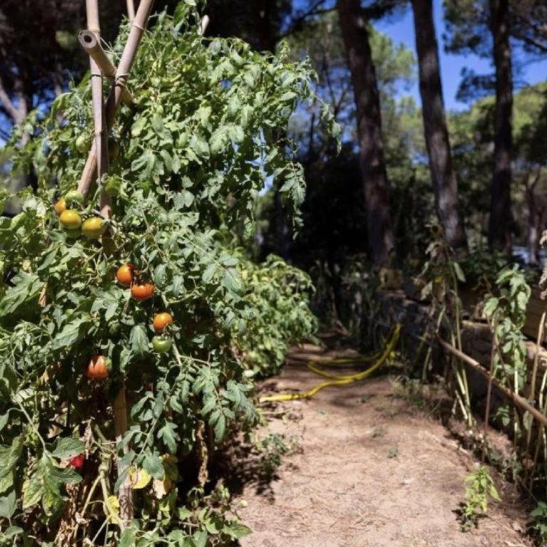 Camping Begur - de safaritent - Casa - 7