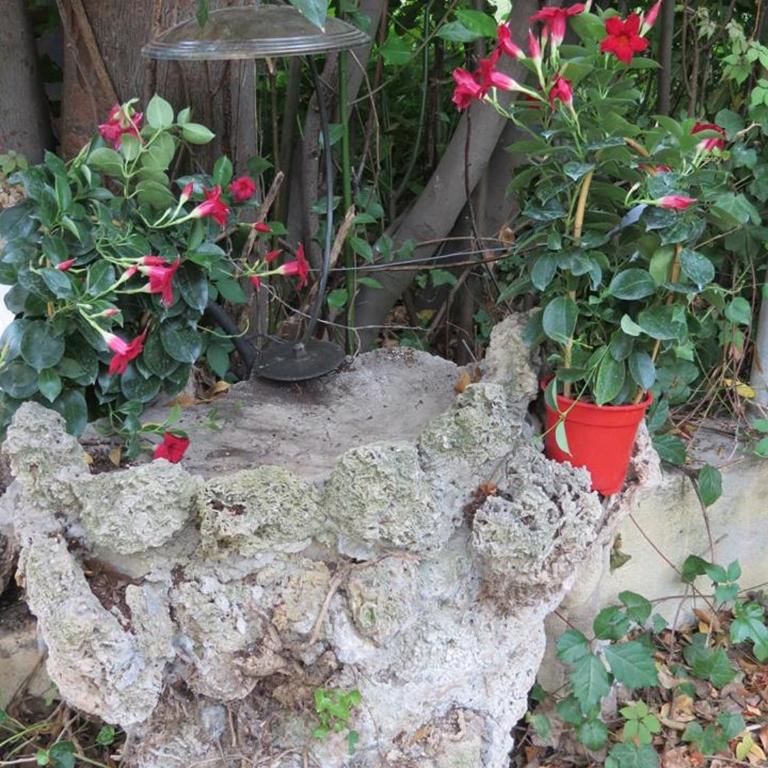 Studio Églantine - Chambre Double ou Lits Jumeaux avec Terrasse - 4