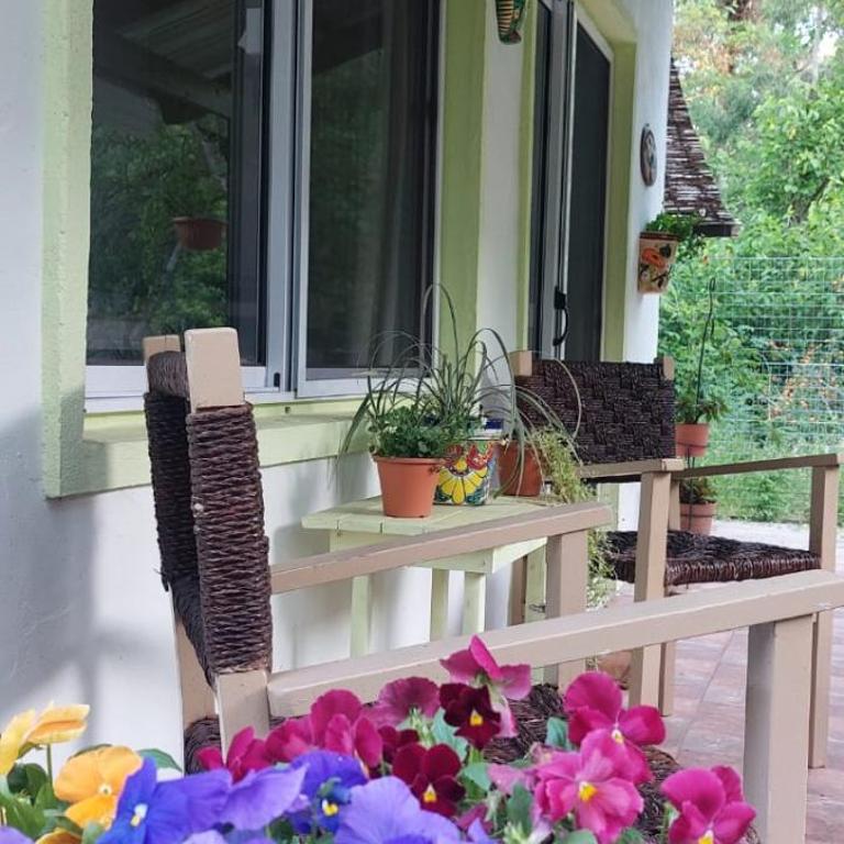 "La morenita", acogedora cabaña para dos - Apartamento de 1 dormitorio - 6