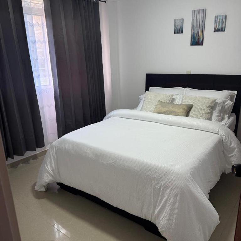 Apartamento Limón Azul - Apartamento - 26