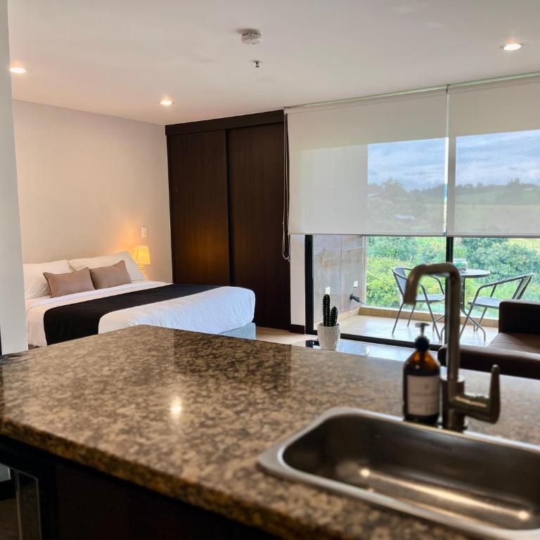 Hotel Rioverde-Suite localizada a 5 minutos del aeropuerto Internacional - Suite con cama grande - 4