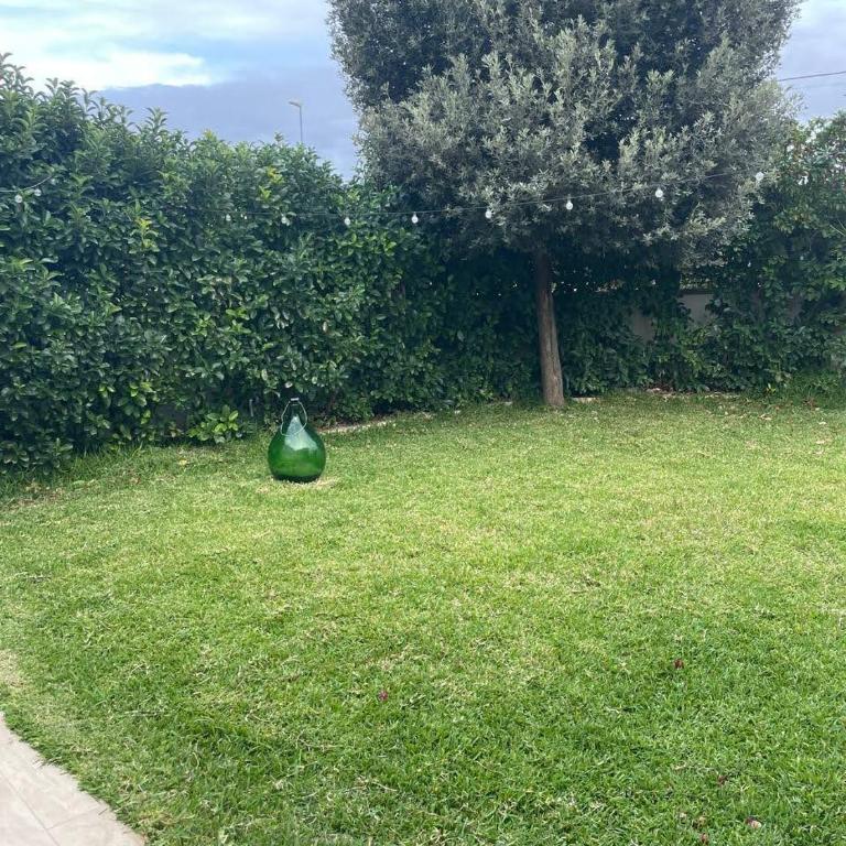 Villa Stella Marina - Villa - 27