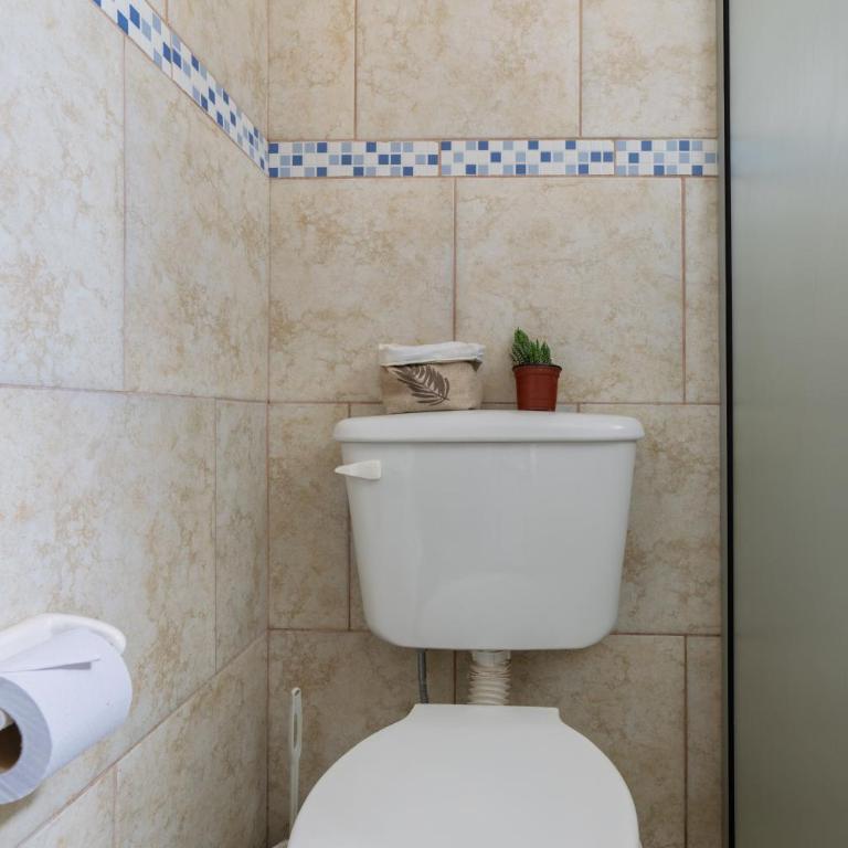 Lavandas & coffee - Casa - 11