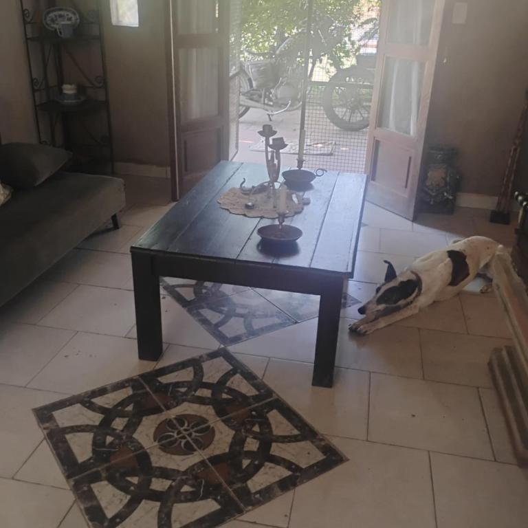 Casa de campo con pileta - One-Bedroom House - 6