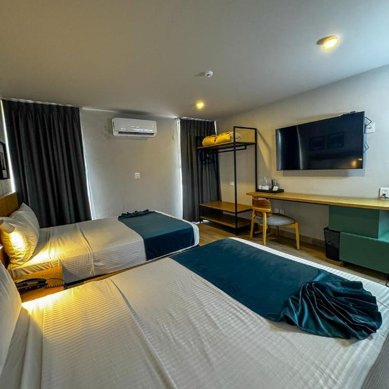 Oliva Plaza Hotel - Habitación Doble - 2 camas - 6