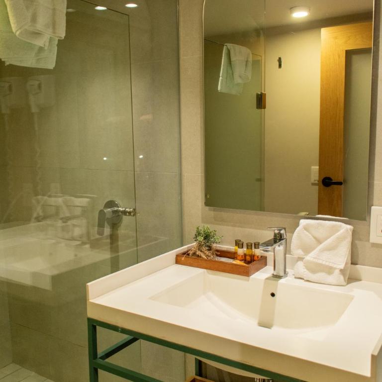 Oliva Plaza Hotel - Habitación Ejecutiva - 9