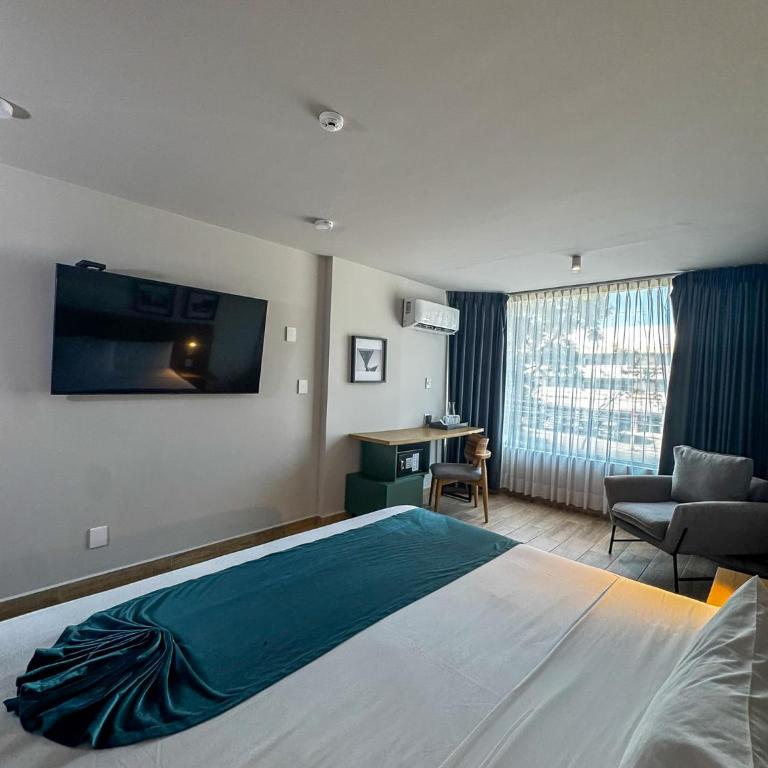 Oliva Plaza Hotel - Habitación Deluxe - 6