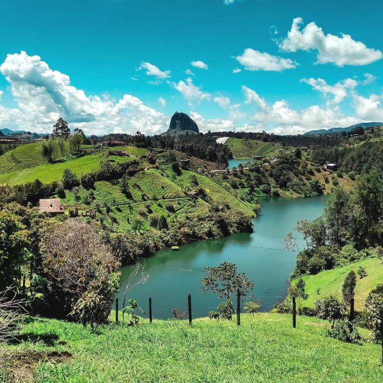 FORESTA - Cabaña moderna con vista a la piedra - Casa con 1 dormitorio - 26