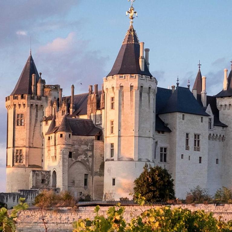L'Écrin Saumurois - T3 Confort et Charme Île Offard - Appartement 2 Chambres - 28