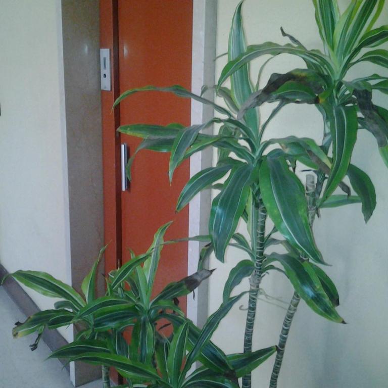 Olimpica Relais guest house - Camera Tripla Deluxe - 33