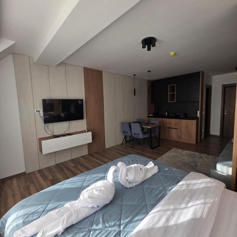 SkyKop Apartmani - Apartman sa 1 Spavaćom Sobom, Balkonom i Pogledom na Planinu - 22