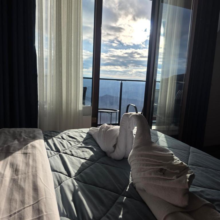 SkyKop Apartmani - Apartman sa 1 Spavaćom Sobom, Balkonom i Pogledom na Planinu - 20