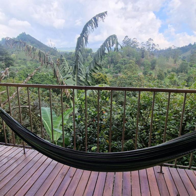 Limon - Habitación Doble con terraza - 34