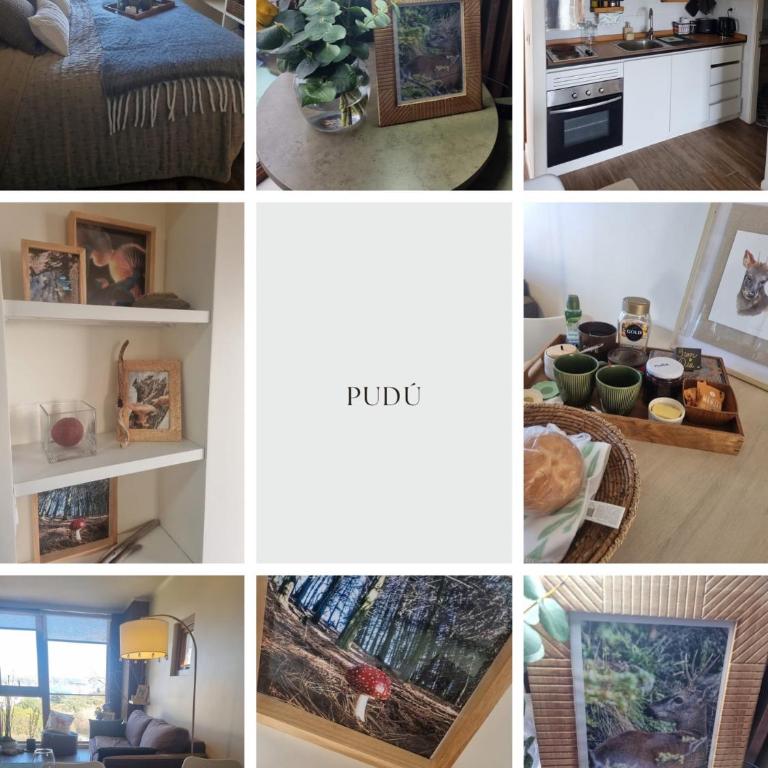 Pascal Travel & NH - One-Bedroom Apartment - 6