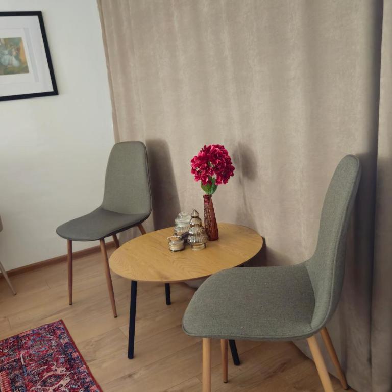 Vibe & Vista Sarajevo, Skenderija - Apartman - 15