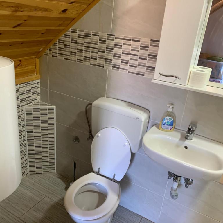 Apartments Durmitor - Apartment with Terrace - 5