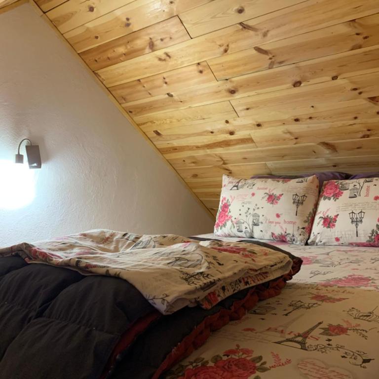 Apartments Durmitor - Apartment with Terrace - 7