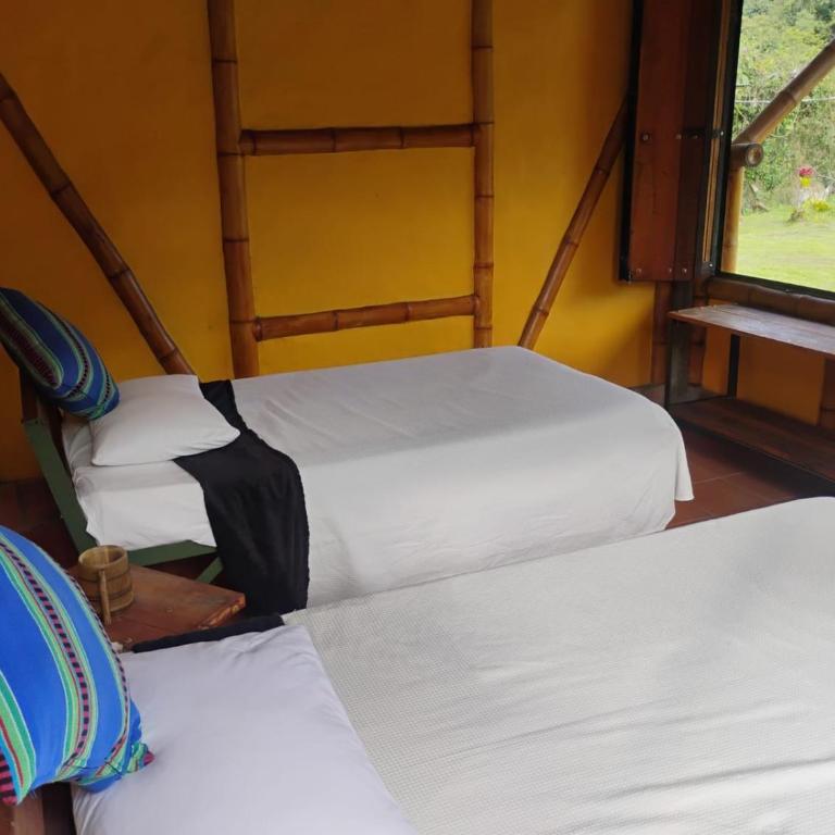 Agüita con Limón Natural Health - Economy Twin Room - 3