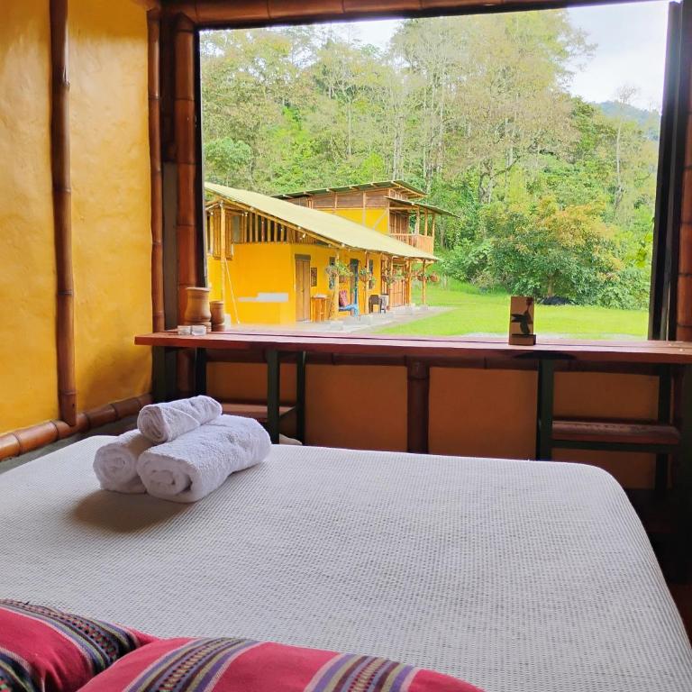Agüita con Limón Natural Health - Standard Double Room - 4