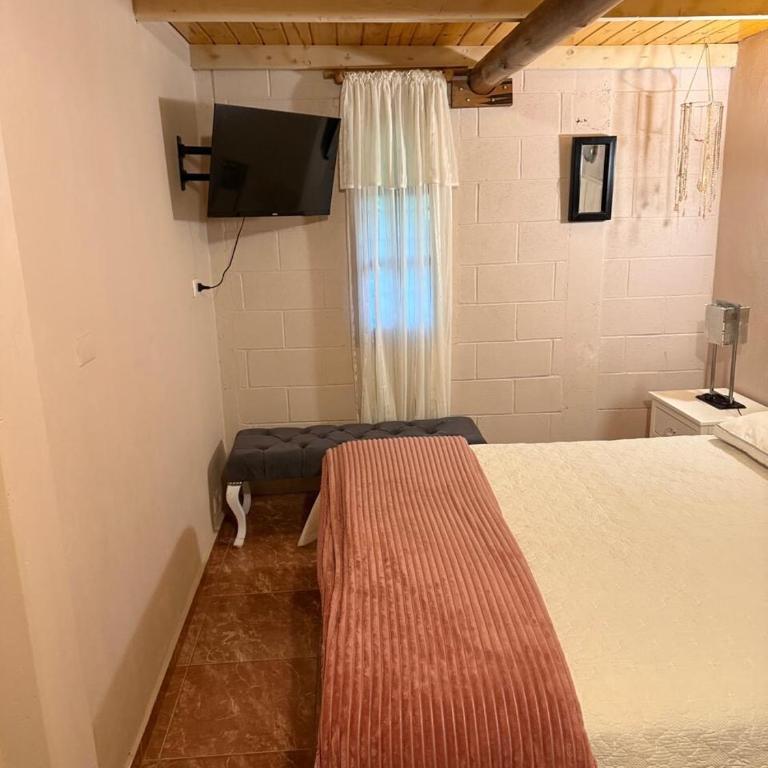 Casa familiar con pileta propia, amplio terreno! - Casa de 3 dormitorios - 4