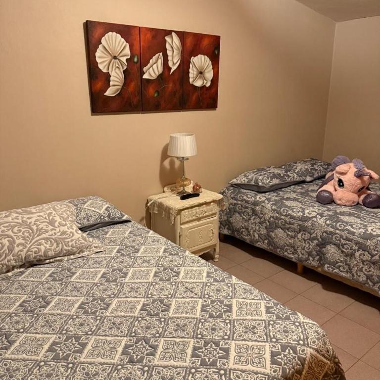 Casa familiar con pileta propia, amplio terreno! - Casa de 3 dormitorios - 14