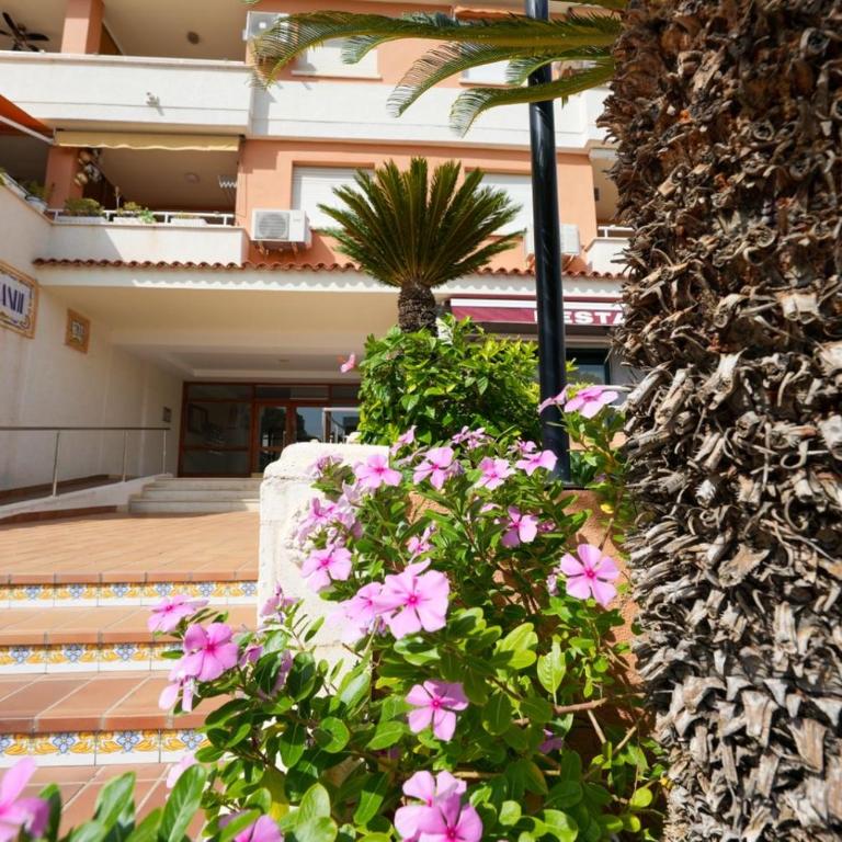Apartamento PARADISE Solo Familias - Apartamento de 3 dormitorios - 7