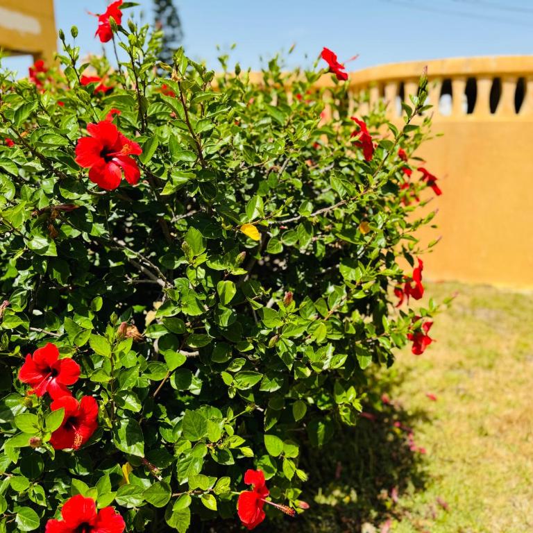 Apartamento moderno con vistas al mar - 1Hab - One-Bedroom Apartment - 33