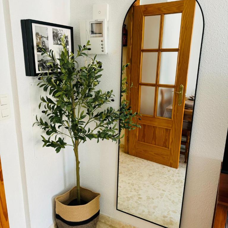 Villa Del Mar - Apartaestudio - Apartment with View and Balcony - 12