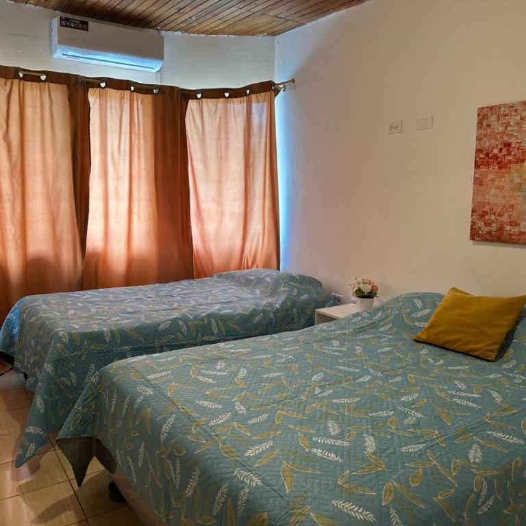 Los mangos Posadamanabita - Apartamento - 12